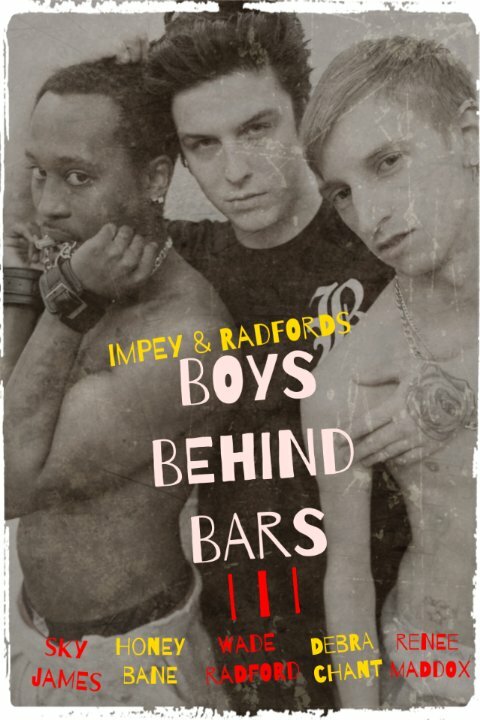 Boys Behind Bars 3 (2015) постер