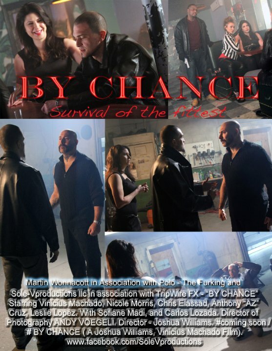 By Chance (2014) постер
