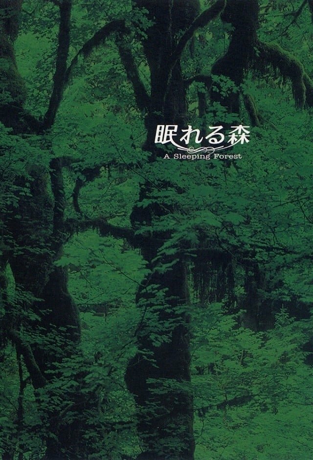 Спящий лес (1998) постер