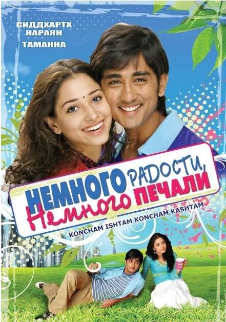 Немного радости, немного печали (2009) постер