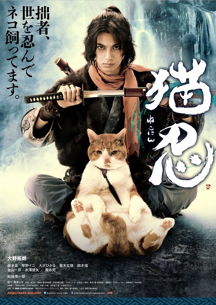 Нинздя и кот (2017) постер