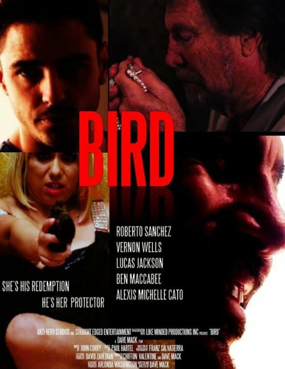 Bird (2020) постер