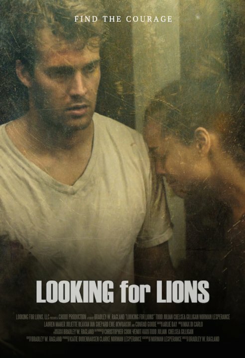 В поисках львов (2014) постер