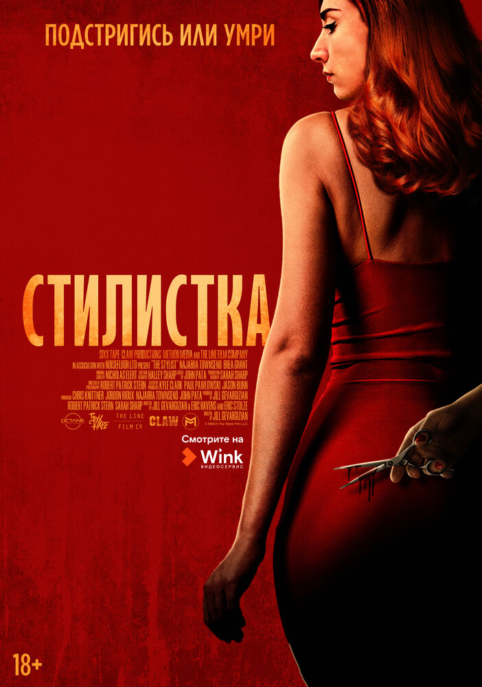 Стилистка (2020) постер