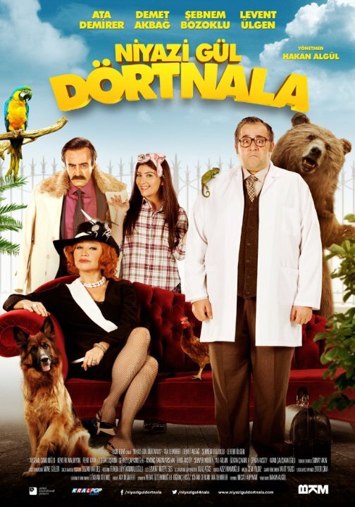 Niyazi Gül Dörtnala (2015) постер