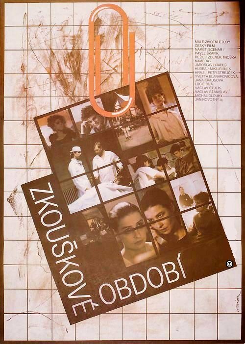 Zkouskové období (1991) постер