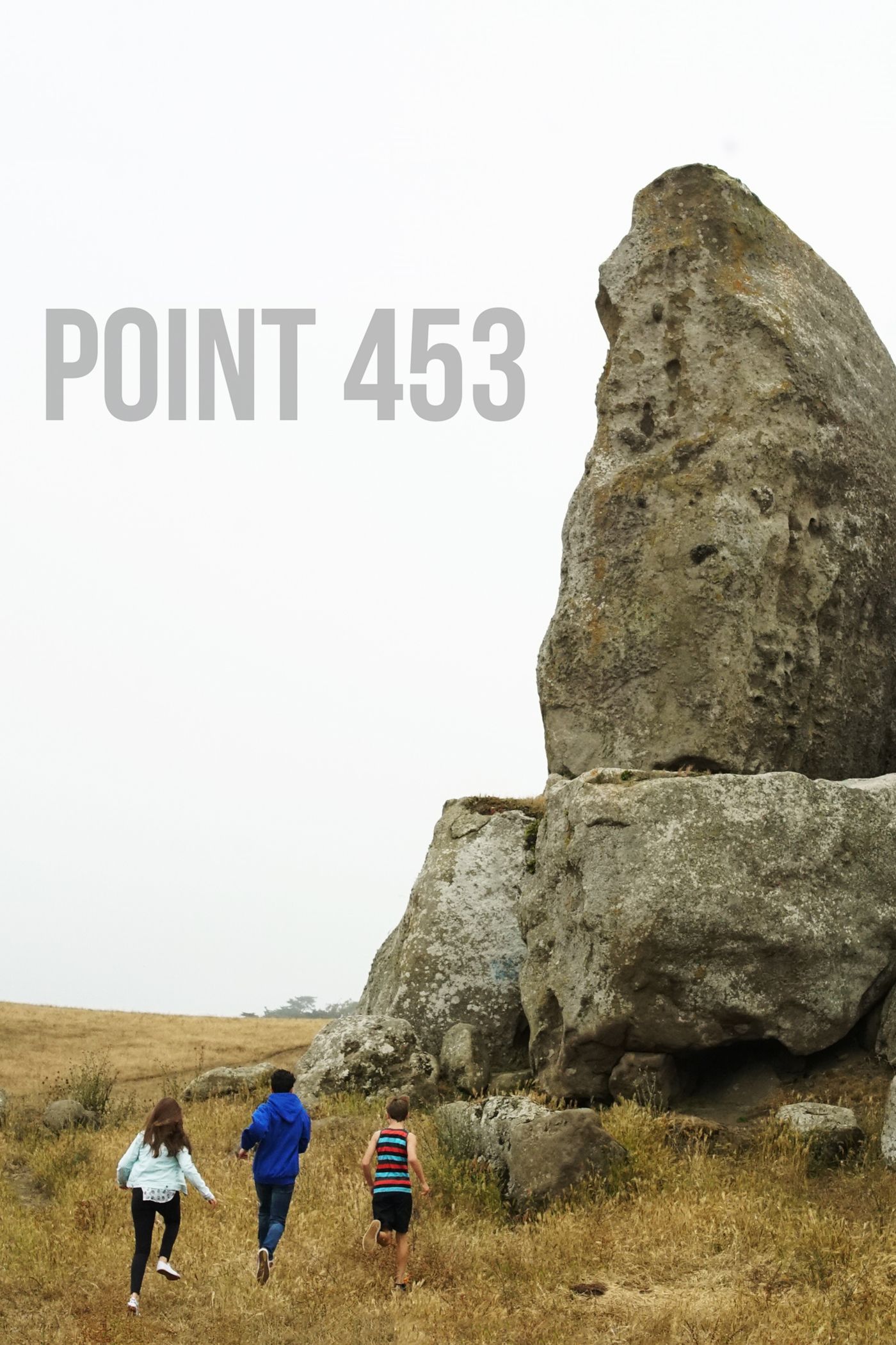 Point 453 (2017) постер