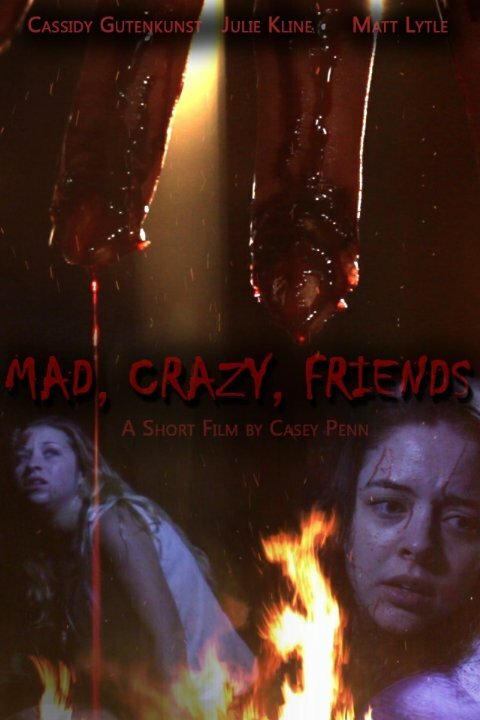 Mad, Crazy, Friends (2014) постер