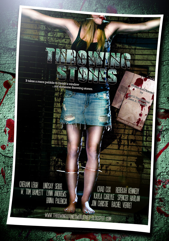 Throwing Stones (2011) постер