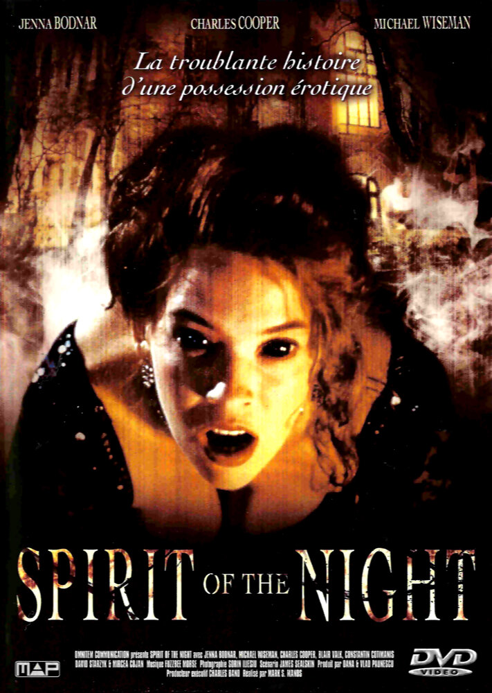 Дух ночи (1995) постер