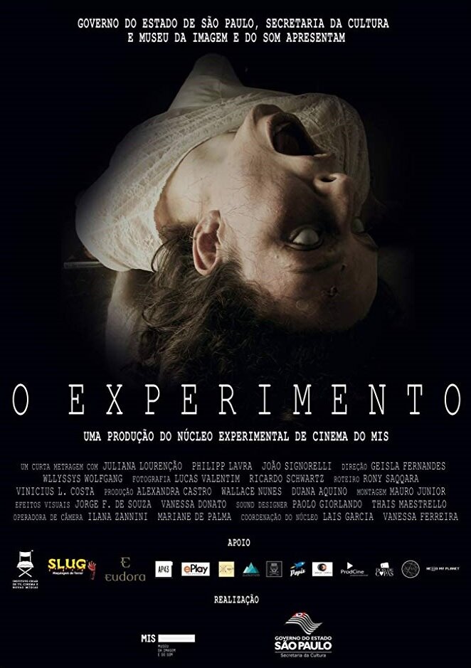 O Experimento (2016) постер