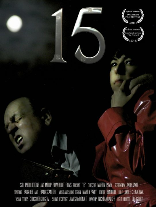 15 (2013) постер